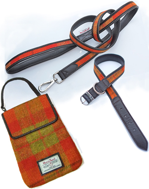 Dog & Dog Walkers matching set